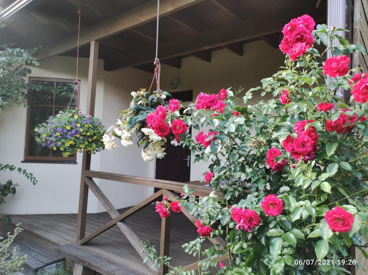 Boutigue City House With Terrace And Garden Free Parking Riga Ngoại thất bức ảnh